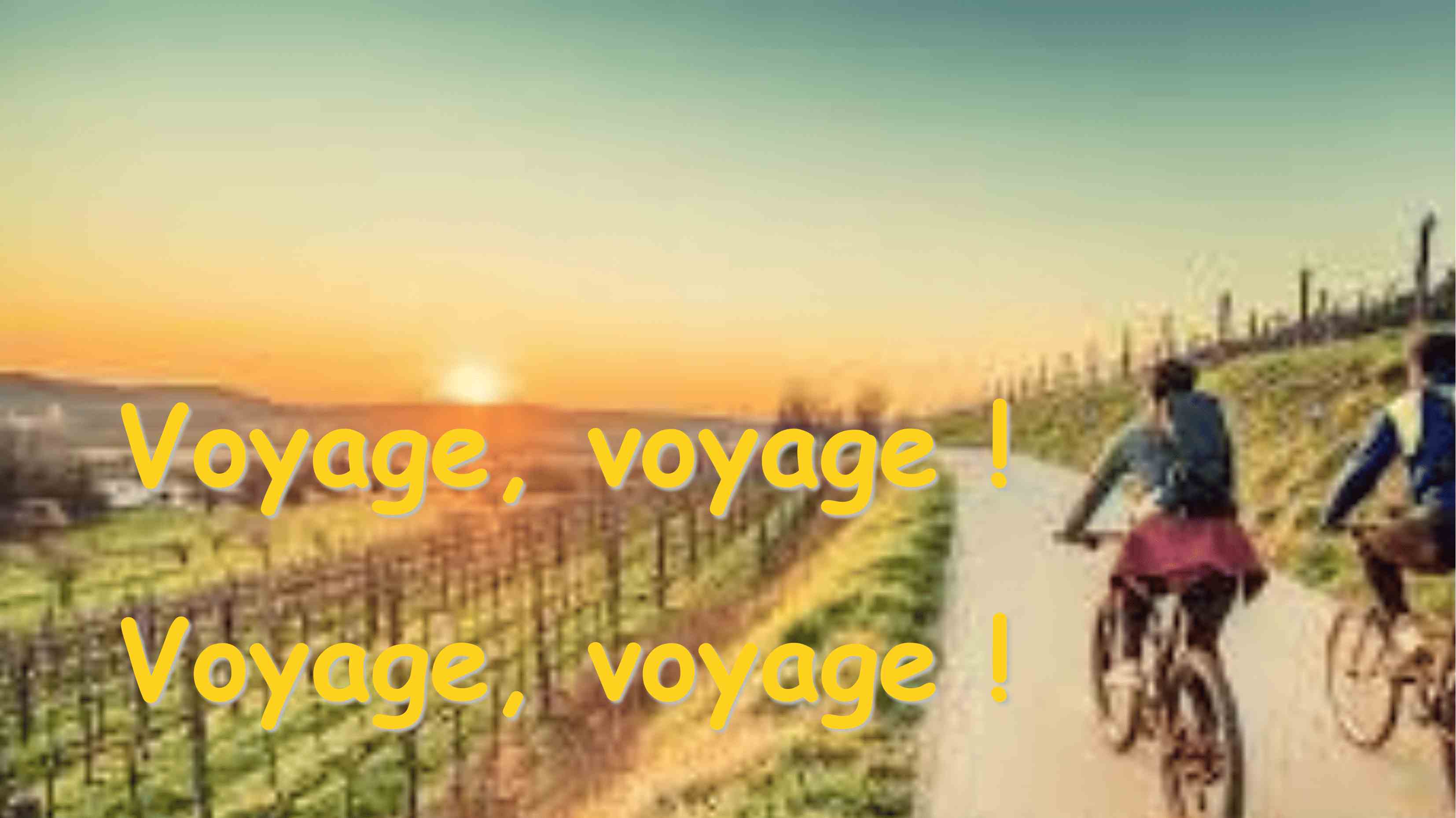 Voyages voyages