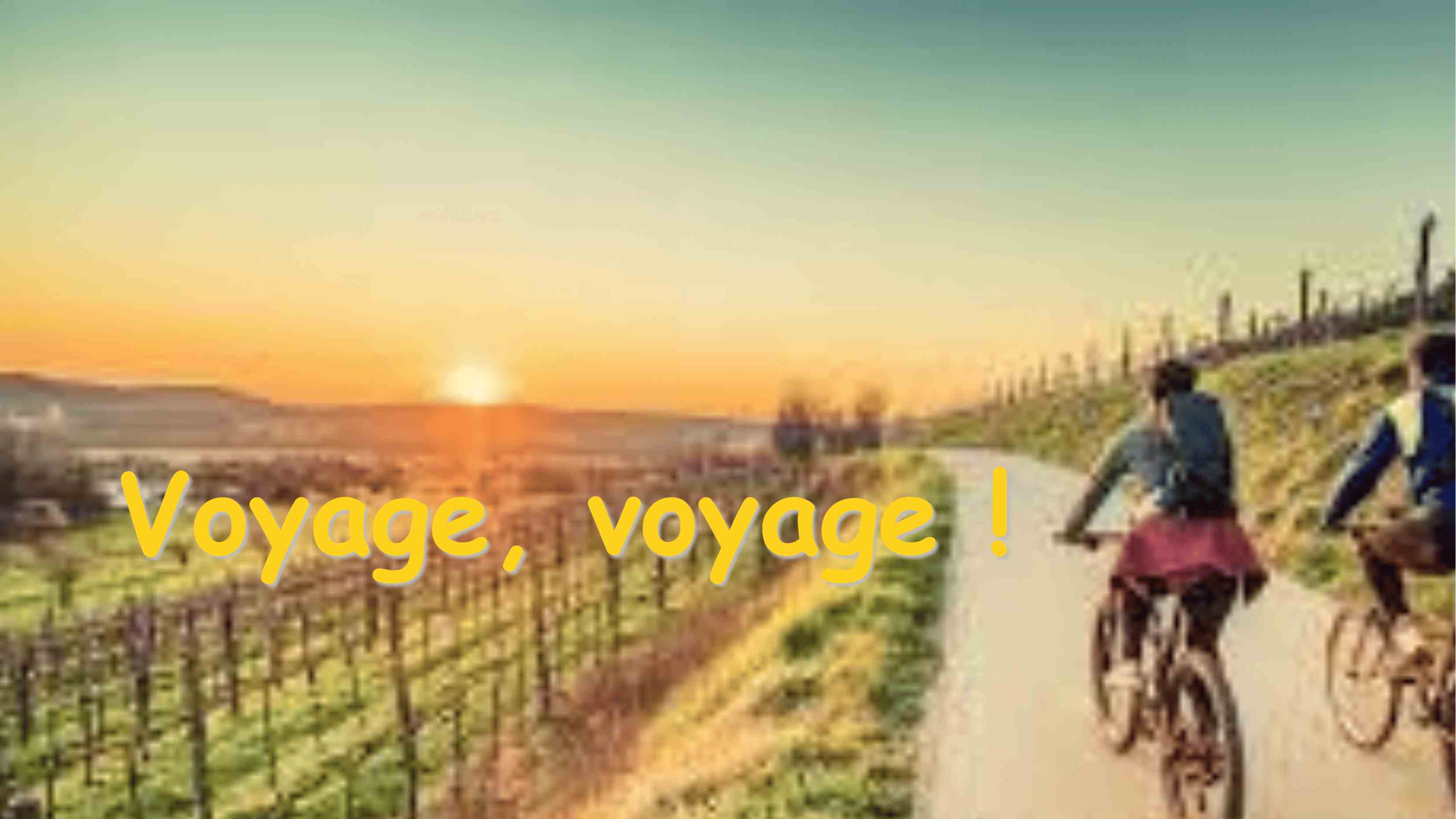 Voyages voyages