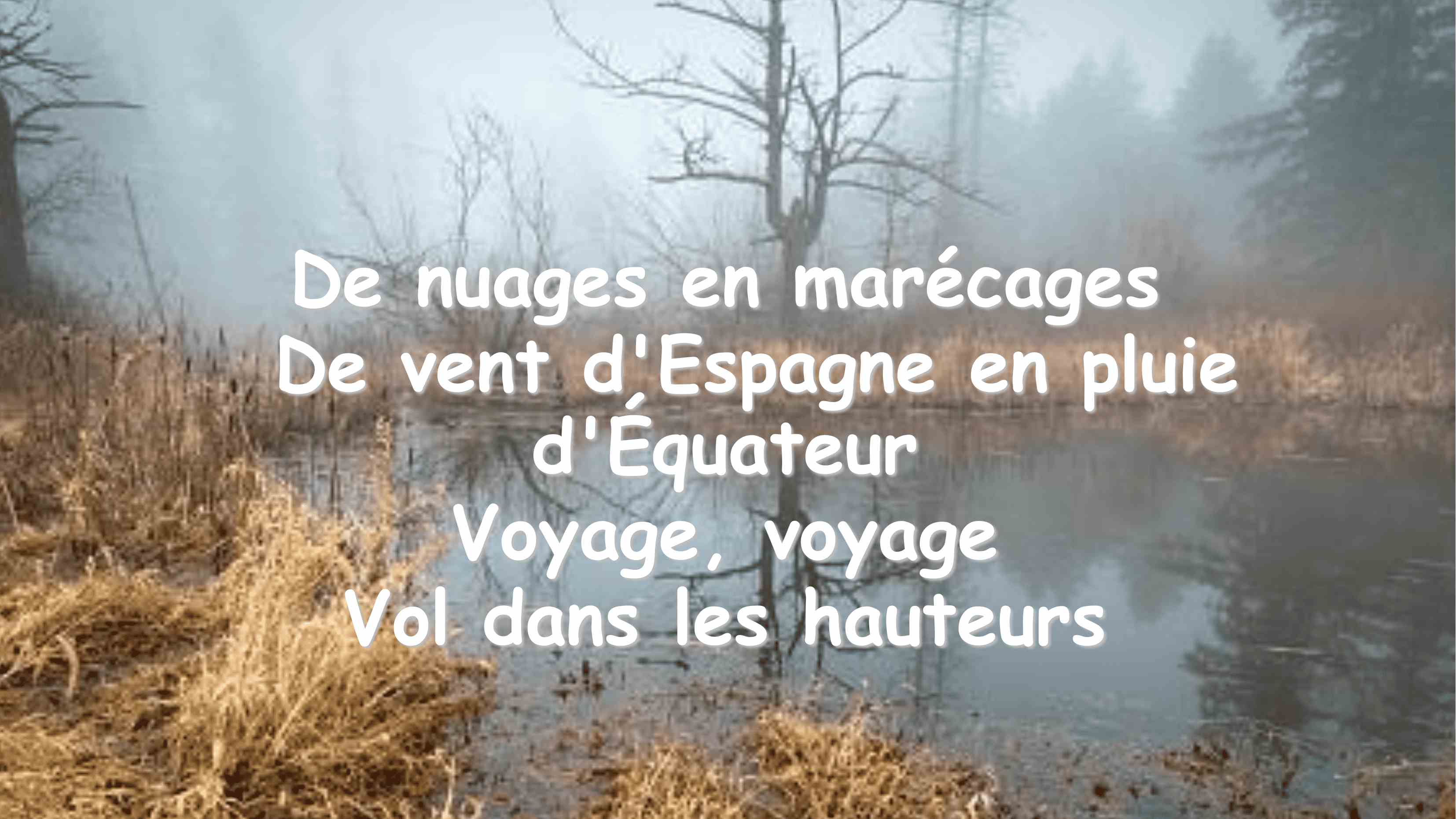 Voyages voyages